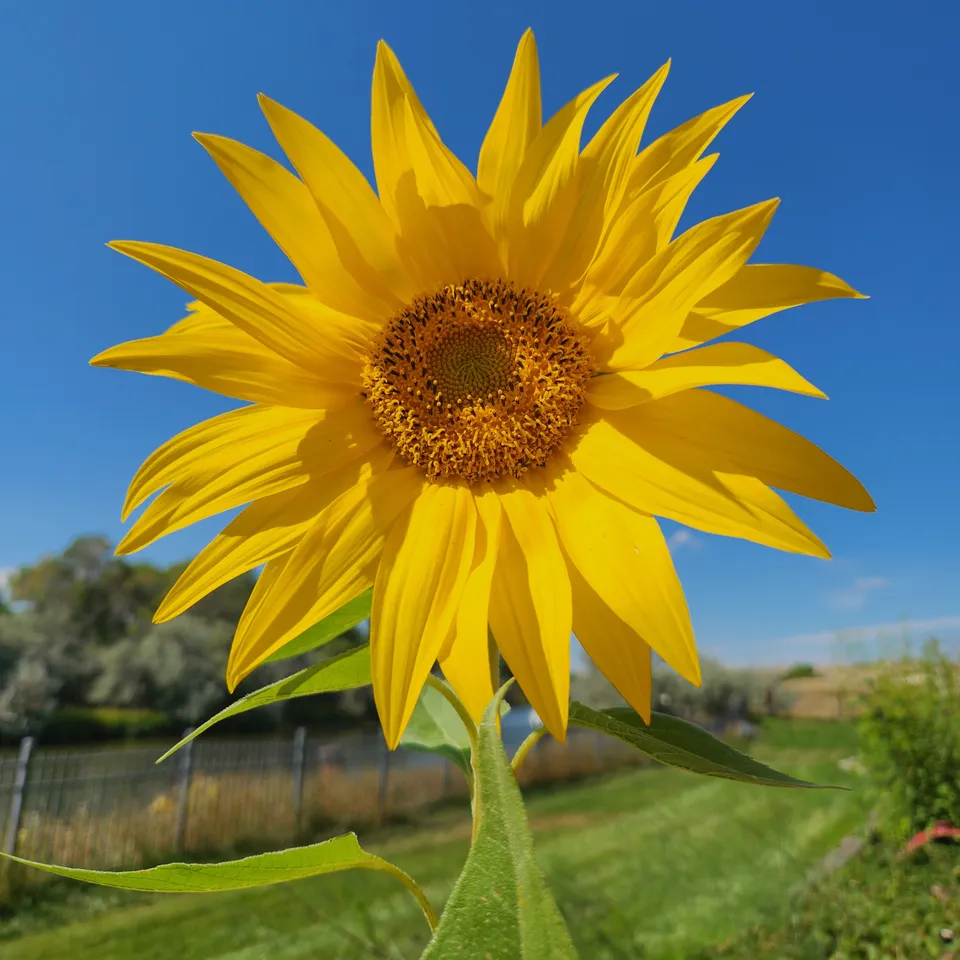 Everyone Did What Was Right In His Own Eyes